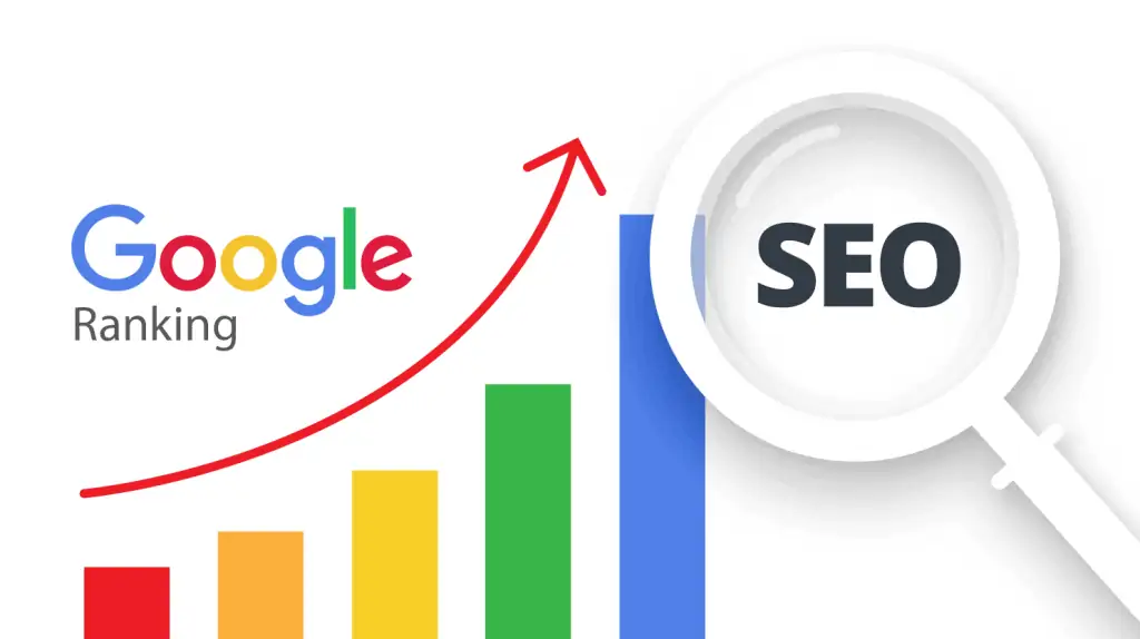 Learn How to Optimize SEO